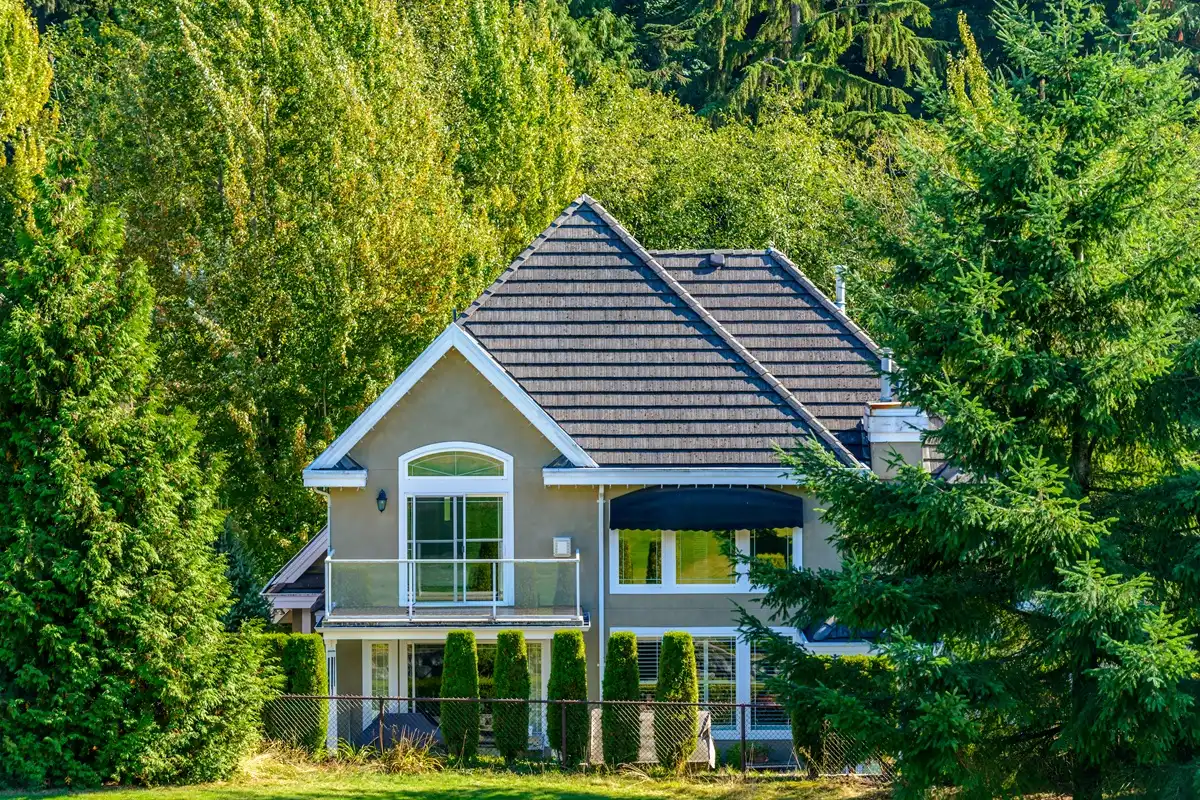The exterior of a green ranch-style house with a stone patio, large windows, and surrounding trees.